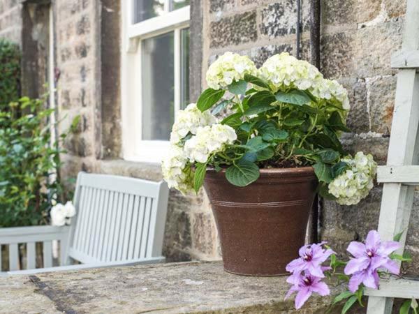 Beacon Cottage Ilkley Exterior photo